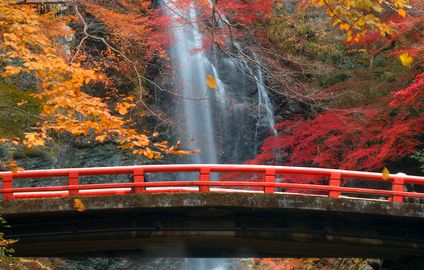 箕面, 紅葉, 観光, 大阪旅行, 自然保護